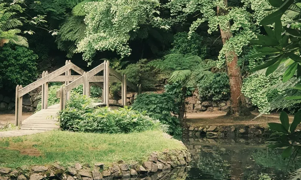 Reinigungsservice Maximilian Walter