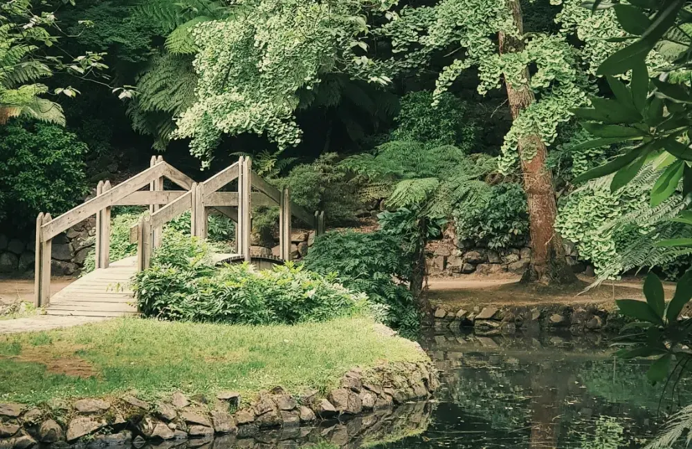 Reinigungsservice Maximilian Walter